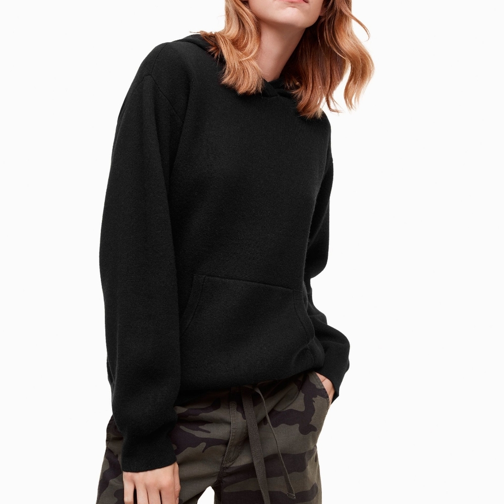 Aritzia TNA Pinedale hoodie